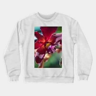 Maui Merlot Dendroblum Orchid Crewneck Sweatshirt